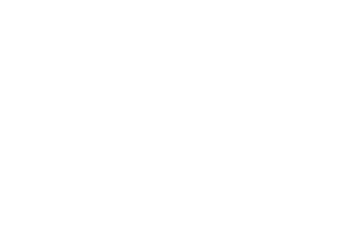 Chic Vein